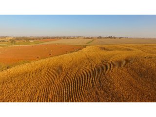 Tract 15 - LAND AUCTION - 664+/- ACRES OFFERED IN 17 TRACTS IN CASS CO., NEBRASKA